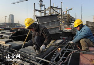 天津保重点工程建设 20万干部职工春节连续奋战